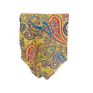 Clifton Paisley Ascot