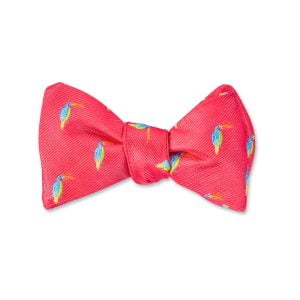 Toucan Bow Tie - Coral